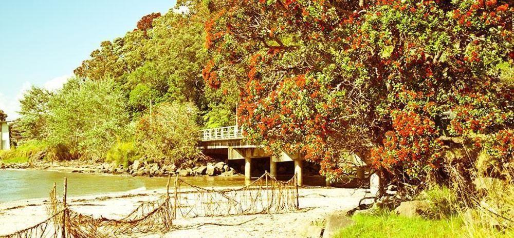 Ohuka Place Homestay Whitianga Eksteriør billede
